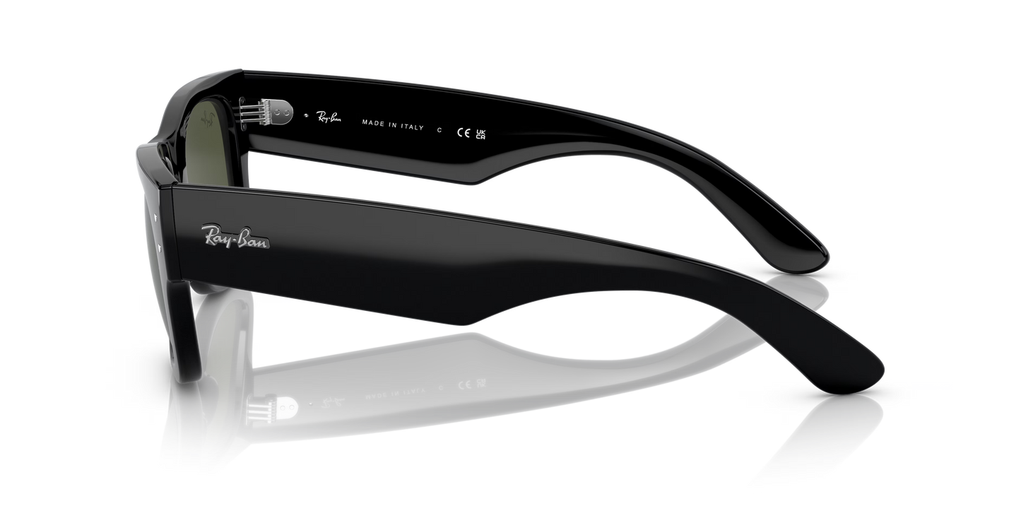 RB0840S MEGA WAYFARER