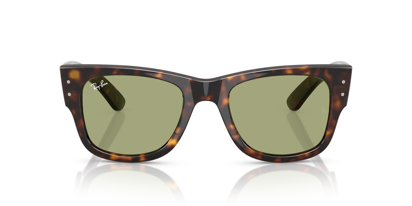 RB0840S MEGA WAYFARER