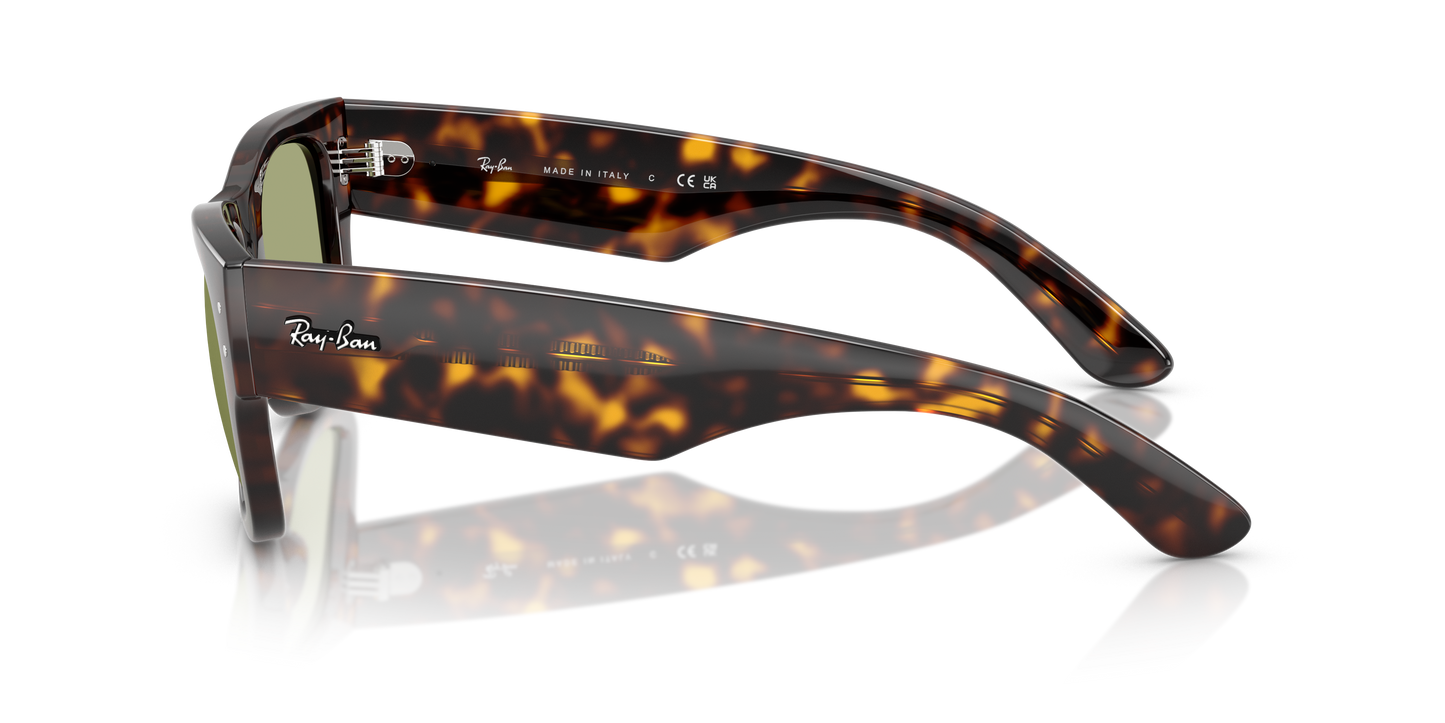 RB0840S MEGA WAYFARER