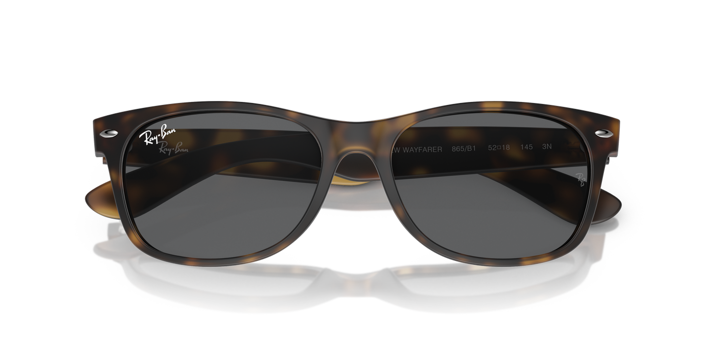 RB2132 NEW WAYFARER