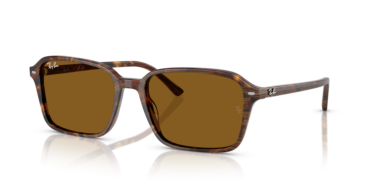 RB2231 RAIMOND
