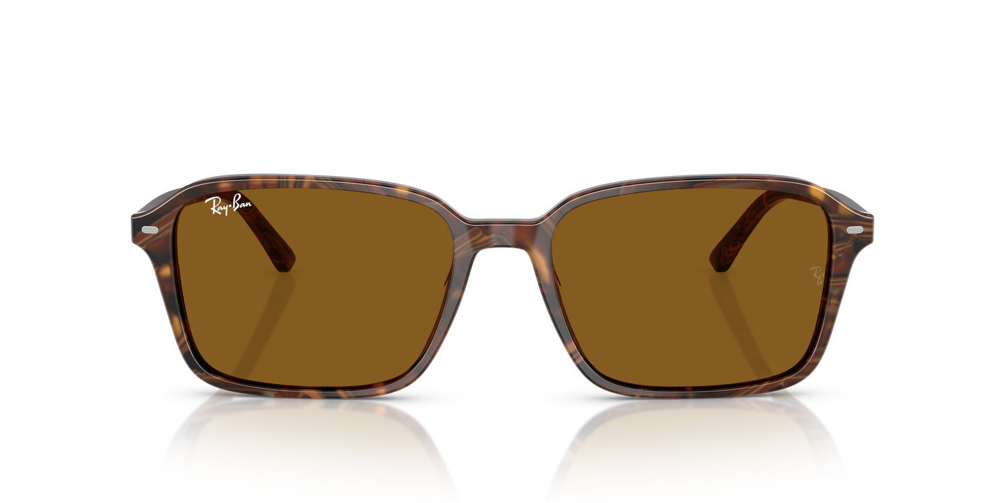 RB2231 RAIMOND