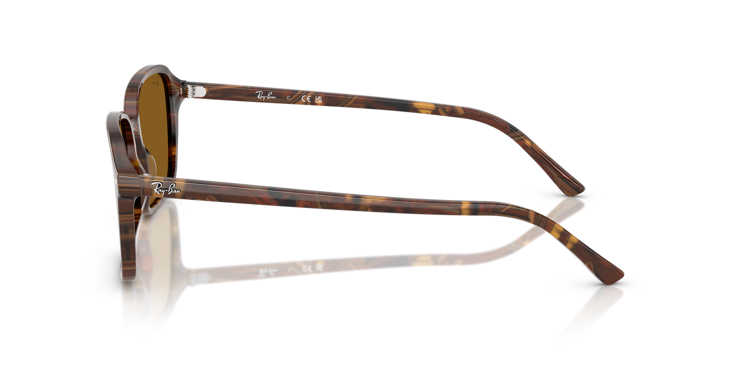 RB2231 RAIMOND