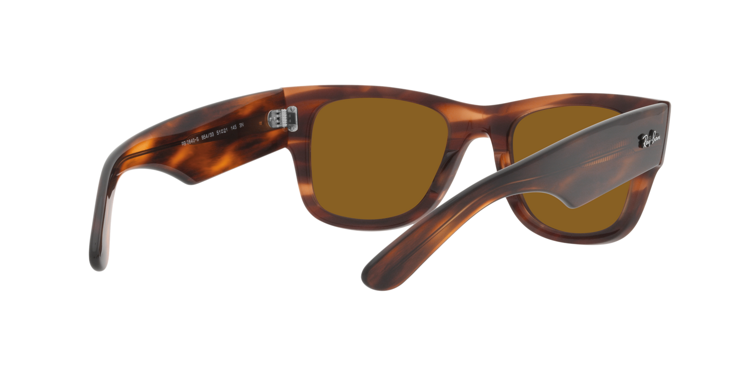RB0840S MEGA WAYFARER