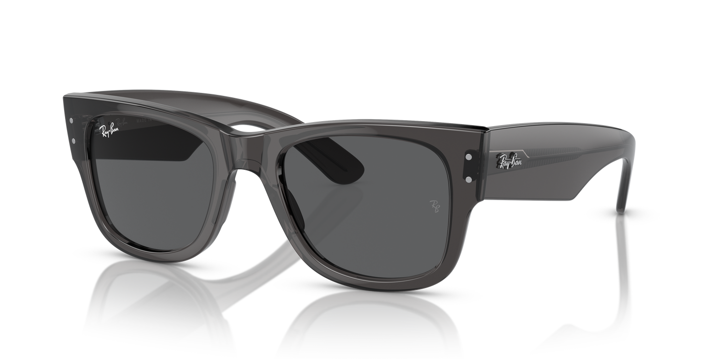RB0840S MEGA WAYFARER