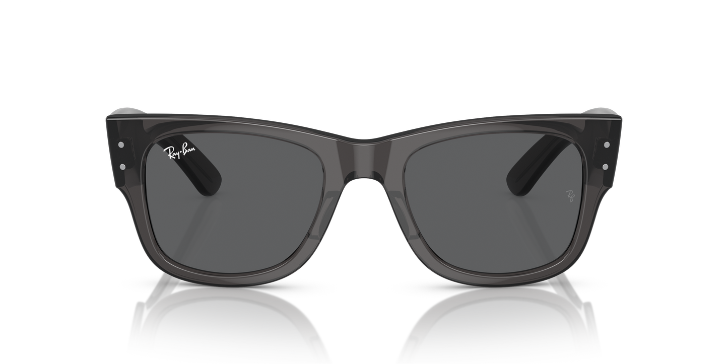 RB0840S MEGA WAYFARER