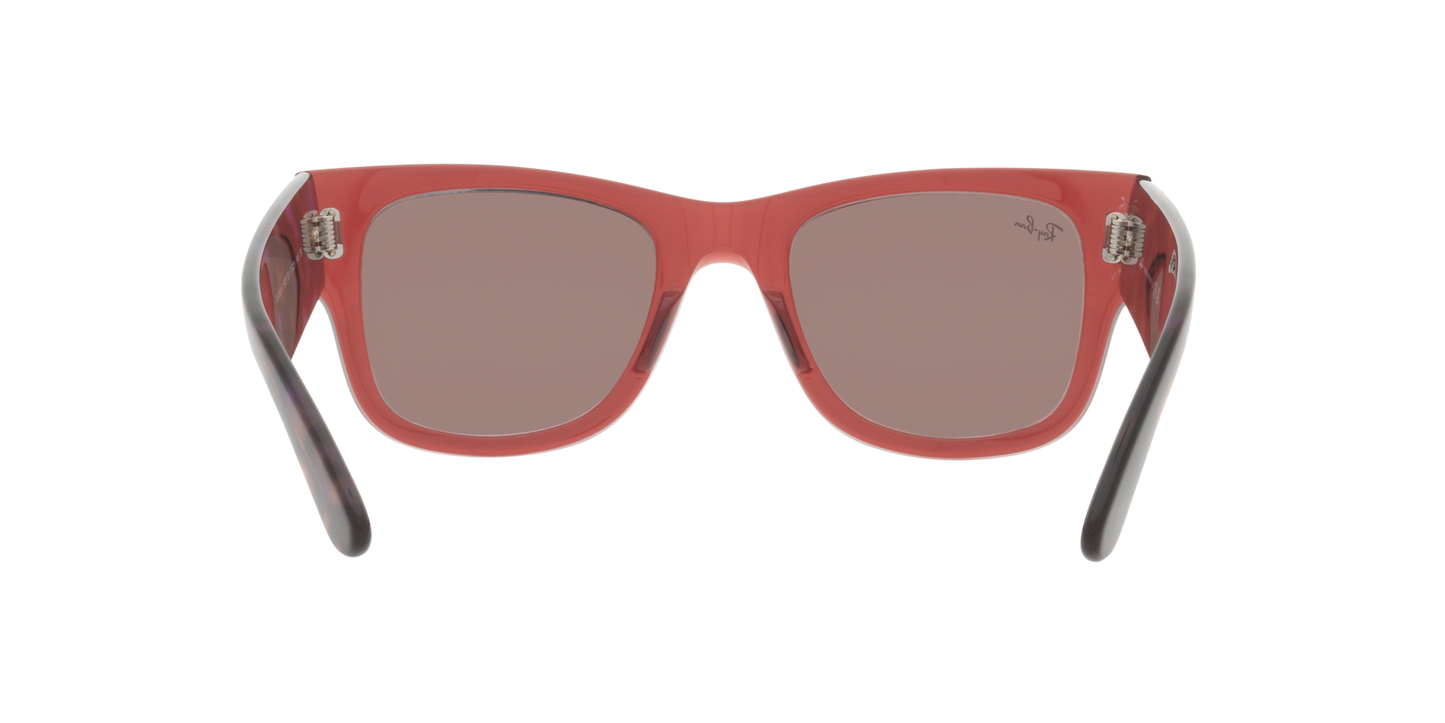 RB0840S MEGA WAYFARER