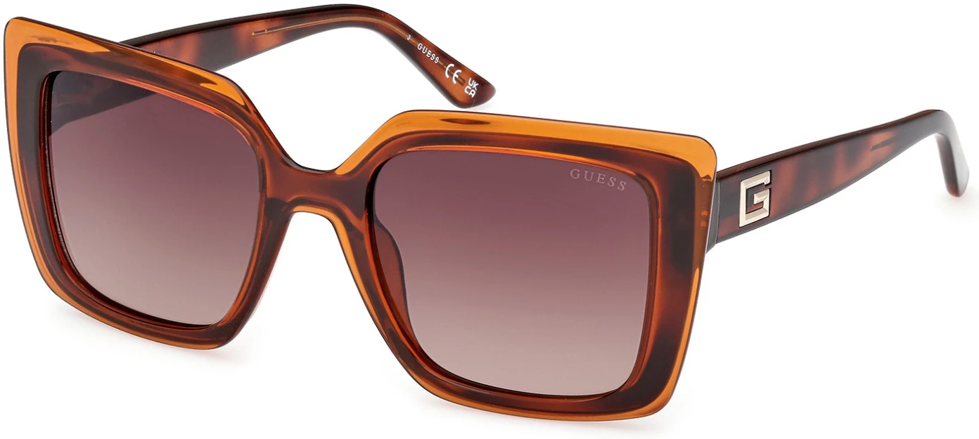 Men Women glasses