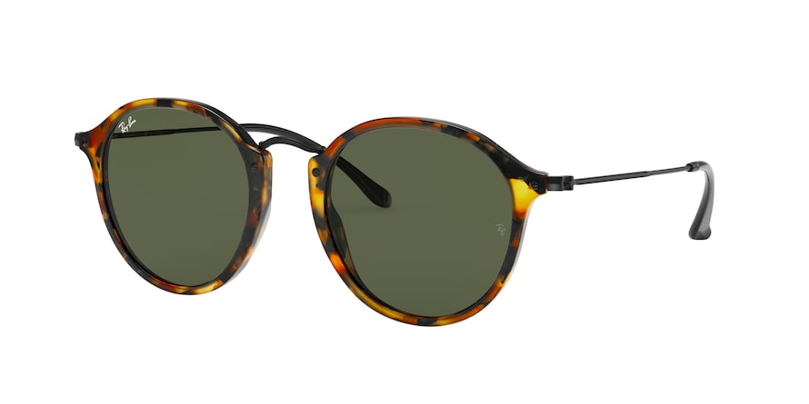 Ray-Ban 0RB2447 Plastic Modified Round Sunglasses for Unisex |  TheViewOptique USA