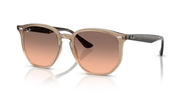 The View Optique