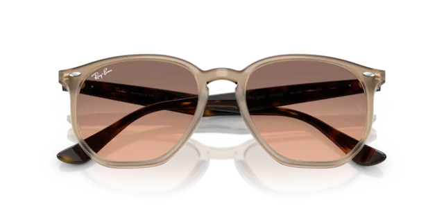The View Optique