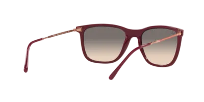 The View Optique