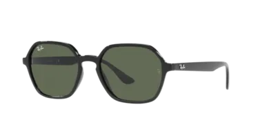 The View Optique