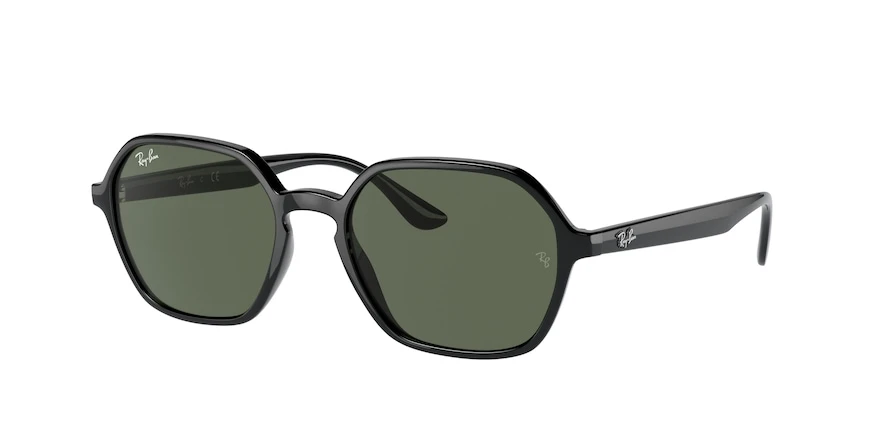 The View Optique