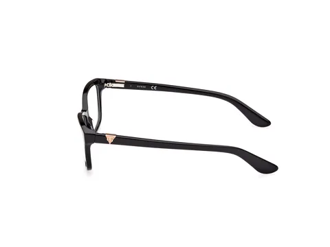 The View Optique
