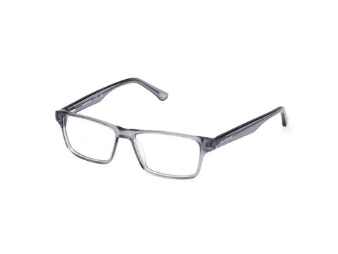 The View Optique