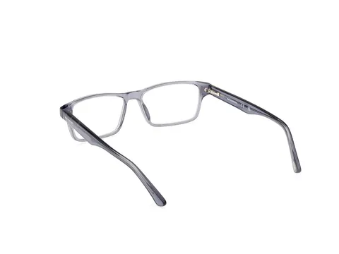 The View Optique