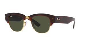 Tortoise On Gold