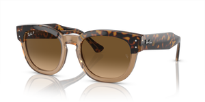 Havana On Transparent Brown