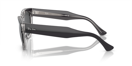 RB0298S MEGA HAWKEYE
