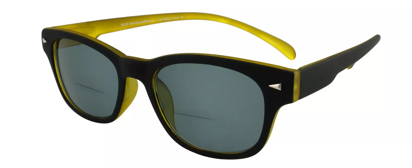 Bifocal Sunglasses