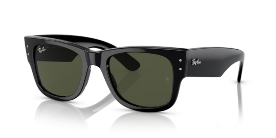 RB0840S MEGA WAYFARER