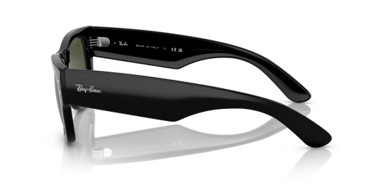 RB0840S MEGA WAYFARER