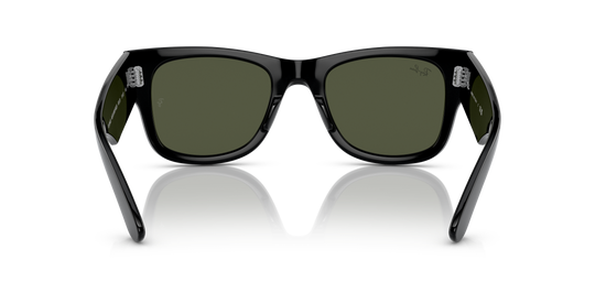 RB0840S MEGA WAYFARER