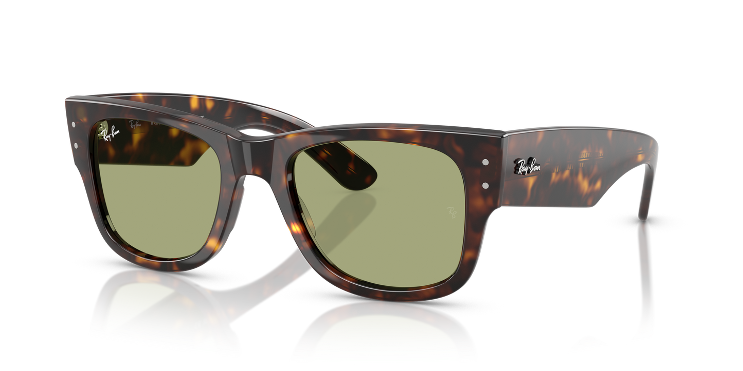 RB0840S MEGA WAYFARER