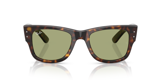 RB0840S MEGA WAYFARER