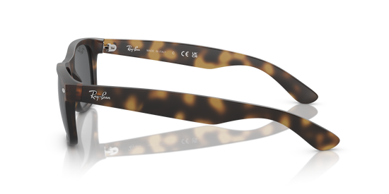 RB2132 NEW WAYFARER