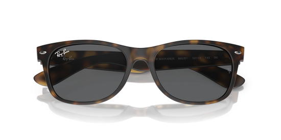 RB2132 NEW WAYFARER