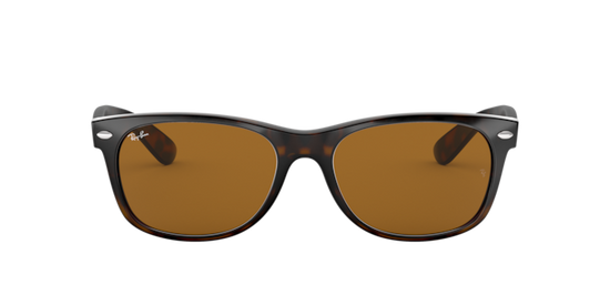 RB2132 NEW WAYFARER