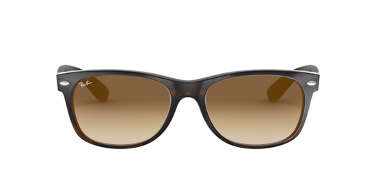 RB2132 NEW WAYFARER