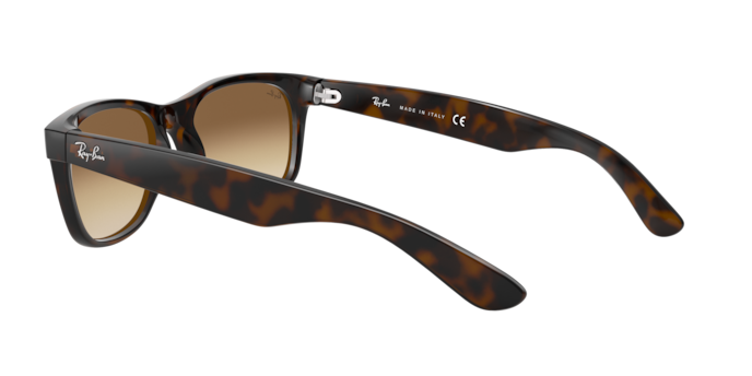 RB2132 NEW WAYFARER