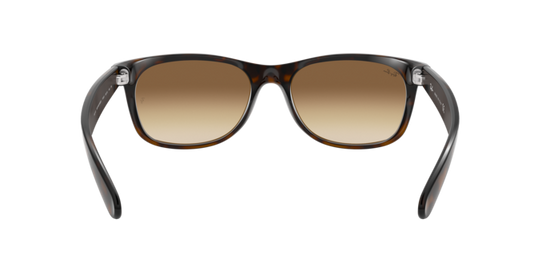 RB2132 NEW WAYFARER