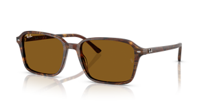 Transparent Fantasy Brown