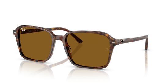 RB2231 RAIMOND