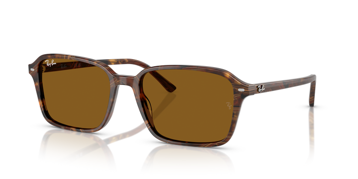 RB2231 RAIMOND