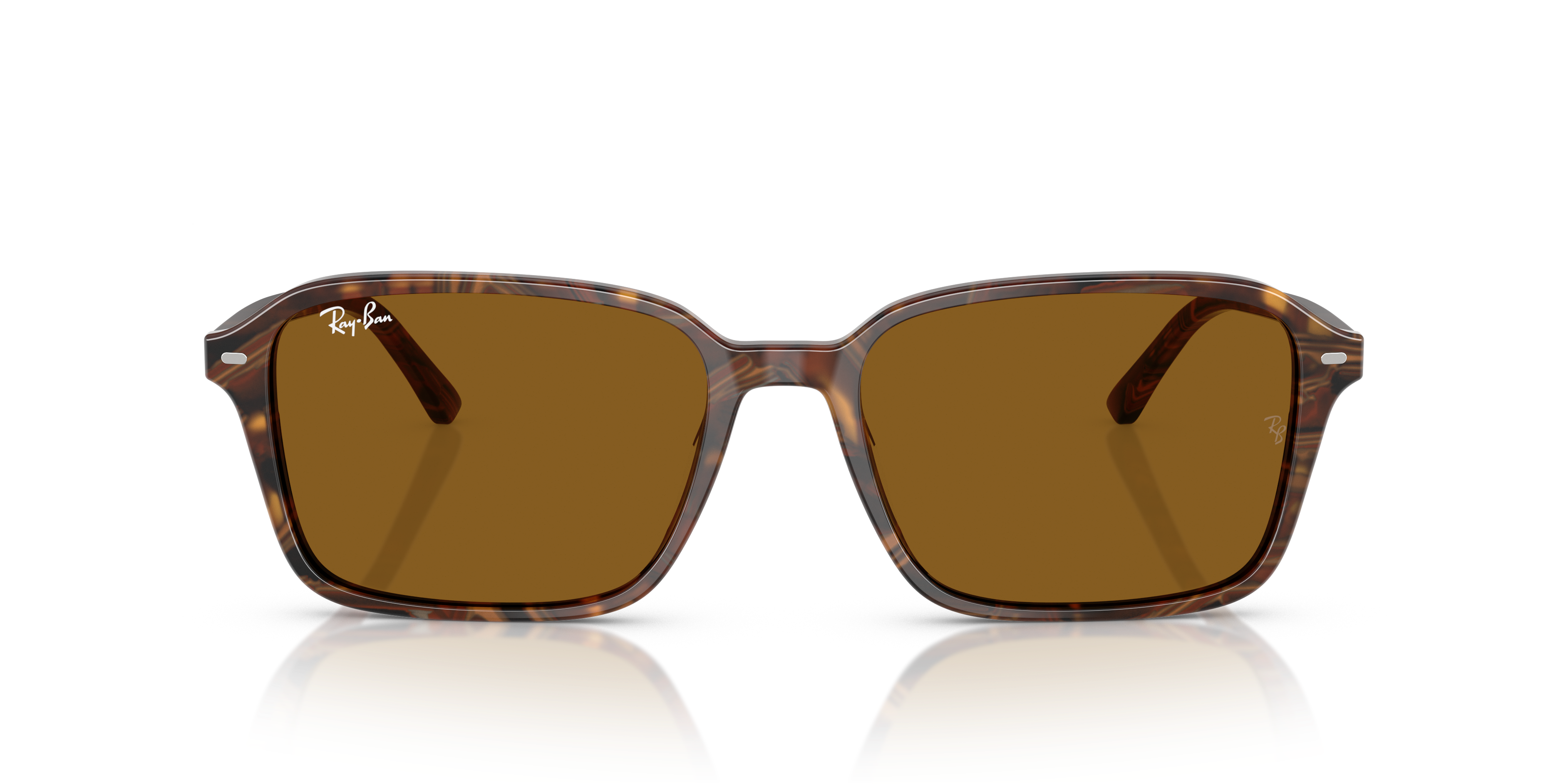 RB2231 RAIMOND