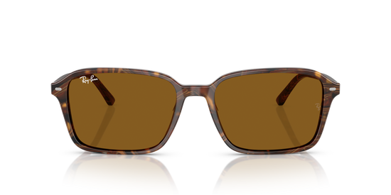 RB2231 RAIMOND