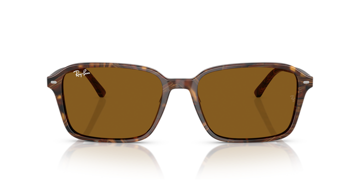 RB2231 RAIMOND