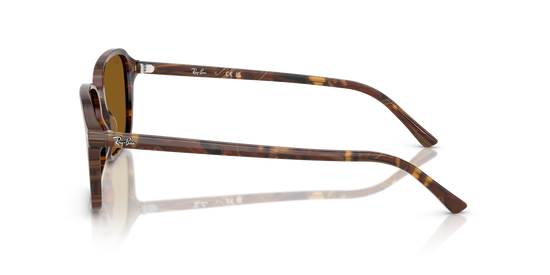 RB2231 RAIMOND