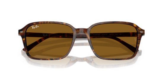 RB2231 RAIMOND