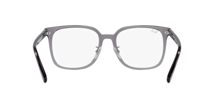RX5419D
