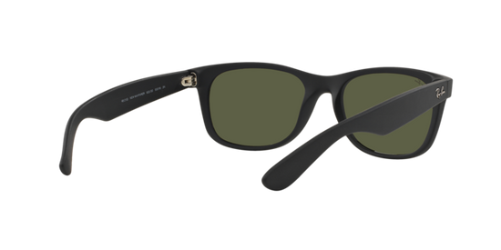 RB2132 NEW WAYFARER
