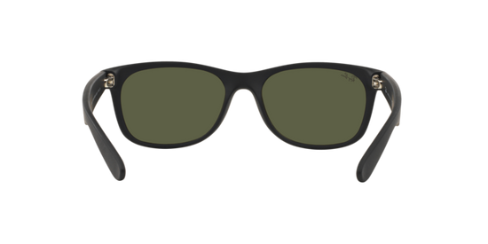 RB2132 NEW WAYFARER