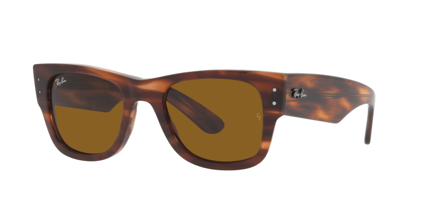 RB0840S MEGA WAYFARER