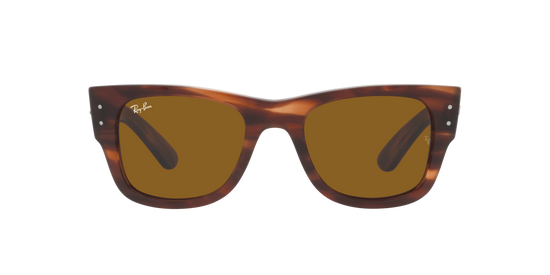 RB0840S MEGA WAYFARER