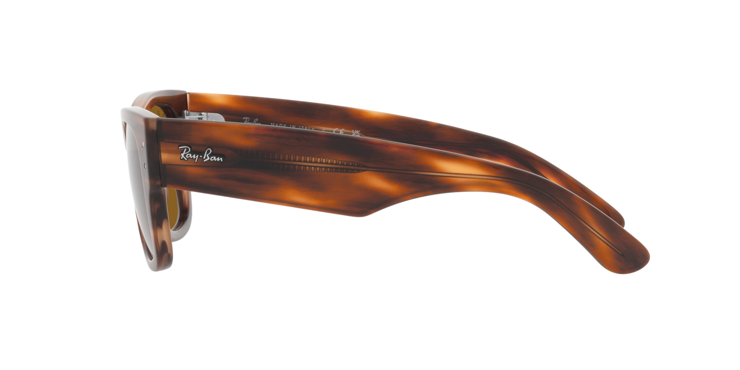 RB0840S MEGA WAYFARER